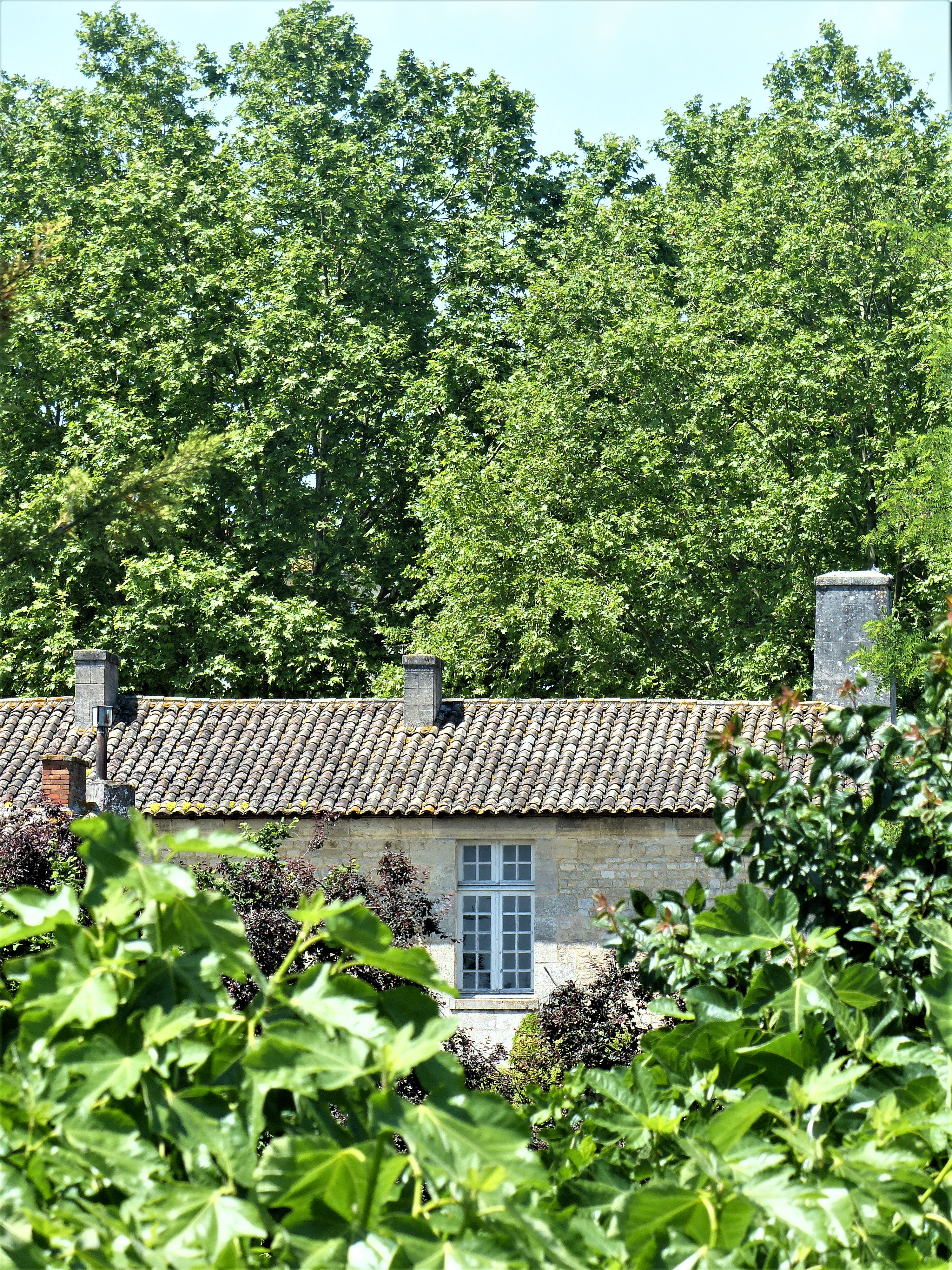 Citadelle de Blaye Château Morange Blaye Côtes de Bordeaux